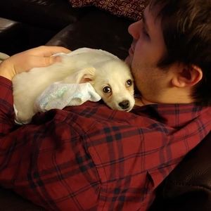 Meet your Posher, Ryan